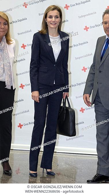 Queen Letizia of Spain meets with members of the Spanish Red Cross at the Red Cross headquarters in Madrid Featuring: Queen Letizia of Spain Where: Madrid