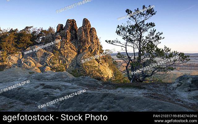 06 March 2021, Saxony-Anhalt, Timmenrode: The first rays of sunshine of the day hit the Hamburger Wappen. The sandstone formation is part of a popular ridge...