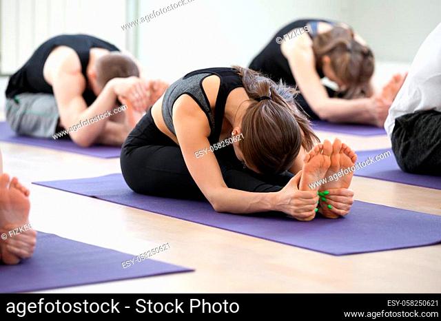 Group of young sporty people practicing yoga lesson, doing paschimottanasana exercise, Seated forward bend pose, working out, indoor, students training in club