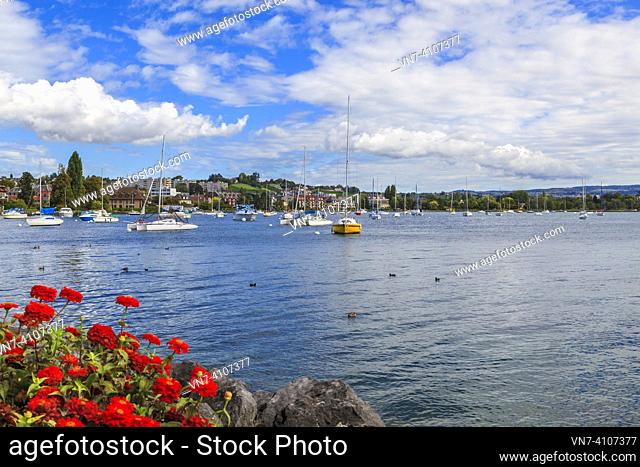 Boats moored on Lake Geneva by the town of Morges, Switzerland, Europe