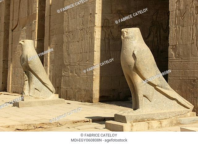 Granite falcons, representing the God Horus, at the entry