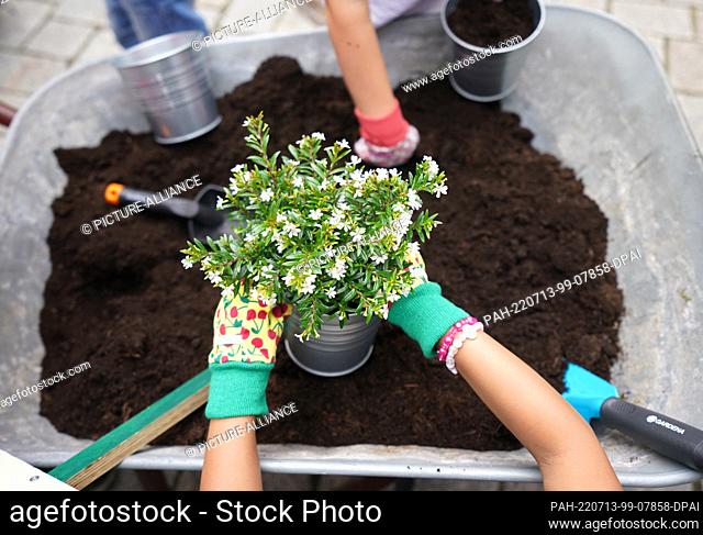 13 July 2022, Hamburg: Pupils from Beim Pachthof elementary school plant plants in flower pots during the opening of the Hamburg Summer Gardens