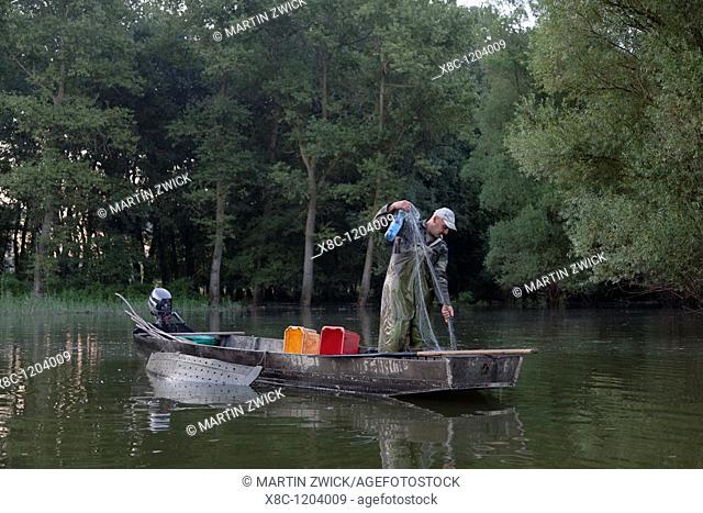 Fisherman on lake Harmas-zatony during dawn in the forest of Gemenc  The Forest of Gemec Gemenci - Erdoe in the Danube - Drava national Park is the largest...