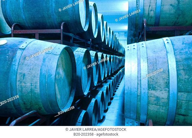 Barrels of wine. Álava. Spain