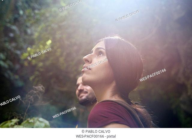 Spain, Canary Islands, La Palma, female hiker with boyfriend in a forest looking up