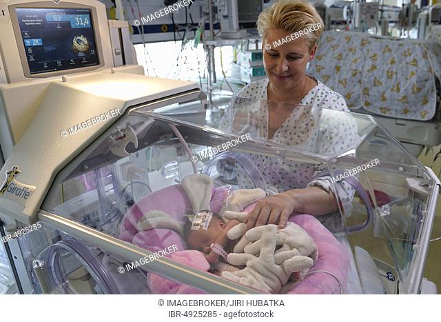 Mother of twins with one of her newborns in an incubator, Intensive Care Unit for Newborns, Karlovy Vary, Czech Republic, Europe