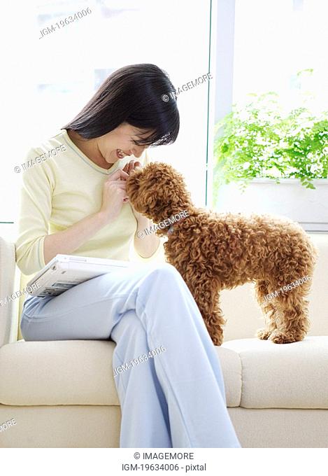 Young woman playing with a Toy Poodle on sofa, side view
