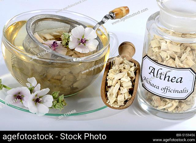 Cup (Althea officinalis) marshmallow root tea, marshmallow, roots, marshmallow roots, marshmallow root tea, Ade root, Altee, Alter Thee, Alte Eh, Driantenwurzel