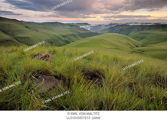 Grassy slopes of the Lower Drakensberg in the Mdedelo Wilderness, Drakensburg mountains, Kwazulu-Natal, South Africa