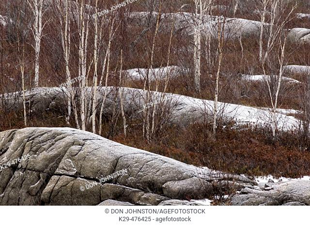 Light snow dusting rock outcrops. Lively. Ontario. Canada