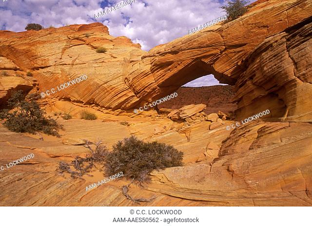 Arch, Paria Wilderness Arizona