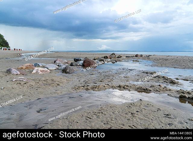 Germany, Schleswig-Holstein, Eckernförder Bucht, sandy beach near Surendorf, rainy weather