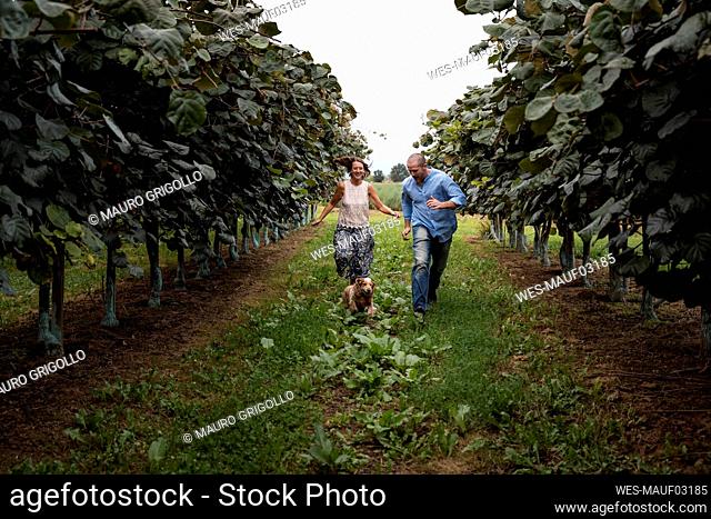 Couple running with their dog in an orchard
