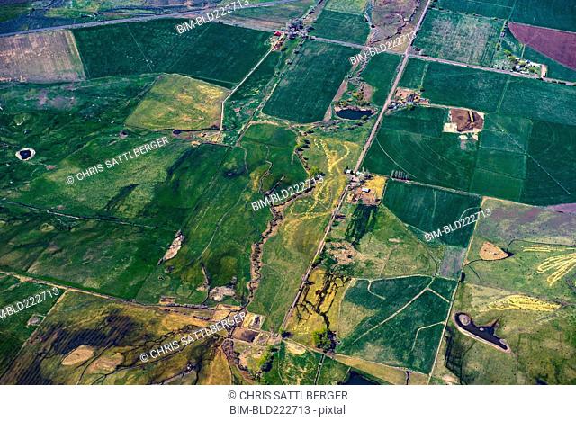 Aerial view of green farmland plots, Cedarville, California, United States