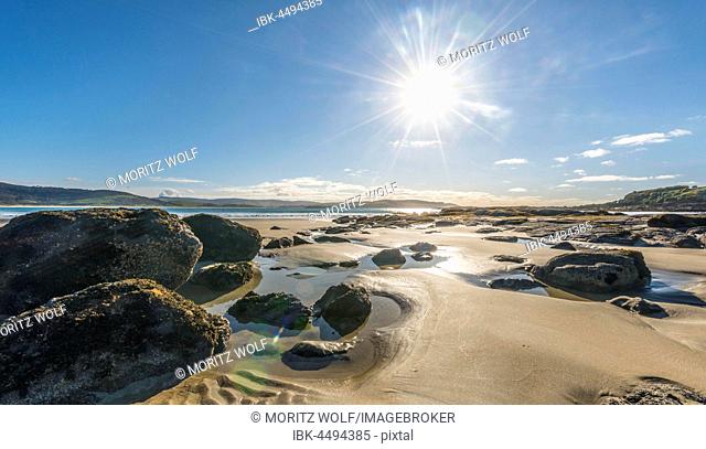 Beach, Porpoise Bay, Catlins, Southland Region, Southland, New Zealand