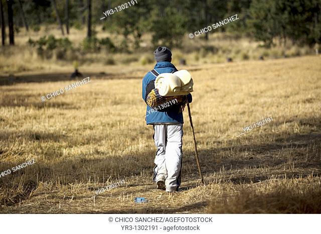 A pilgrim walks through a field as he travels to reach the Basilica of Guadalupe in Mexico City, December 7, 2008  Hundreds of thousands of Mexican pilgrims...