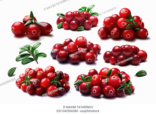 Cranberries, lingonberries (Vaccinium family) in piles, with and without leaves. Clipping paths for each object, shadows separated
