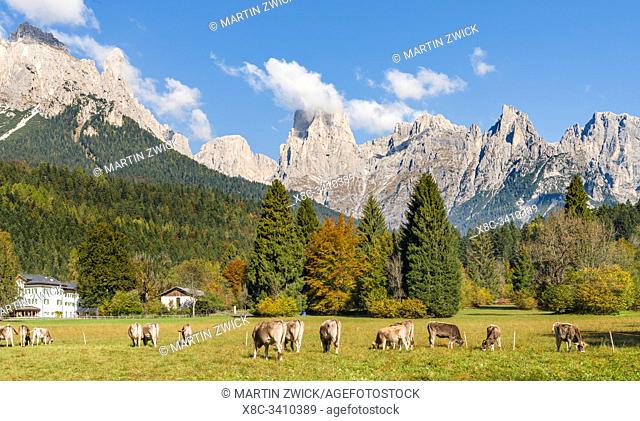 Valle del Canali in the mountain range Pale di San Martino, part of UNESCO world heritage Dolomites, in the dolomites of the Primiero