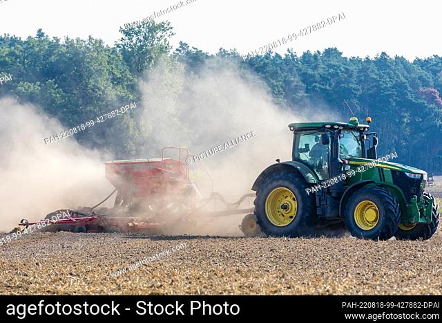 18 August 2022, Brandenburg, Leuthen: With a seed drill attached to a tractor, a farmer from the Drebkau Agricultural Cooperative sows winter rapeseed in a dry...