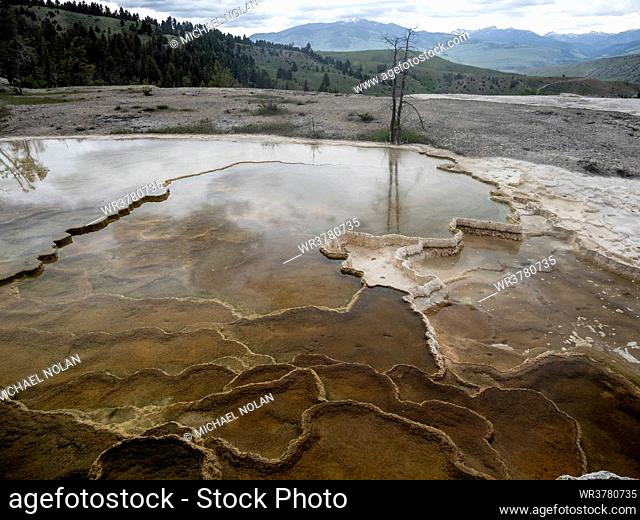 Mammoth Hot Springs Terraces, Yellowstone National Park, UNESCO World Heritage Site, Wyoming, United States of America, North America