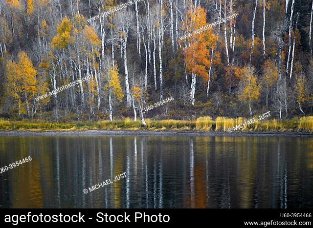 Fall colors are reflected in the calm waters of Kolob Reservoir in Southern Utah