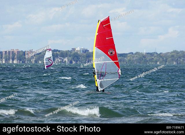Windsurfer on the Saint Lawrence River, Province of Quebec, Canada, North America
