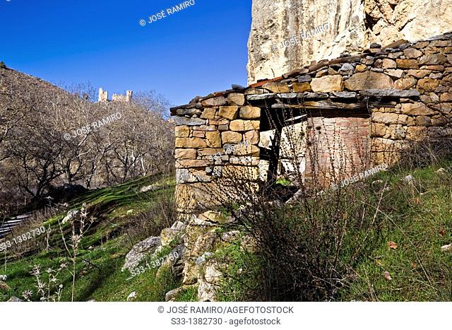 Castle in Pelegrina  Guadalajara  Castilla la Mancha  Spain