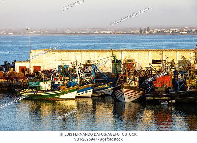 Fishing boats at the port of el Jadida, Atlantic Morocco