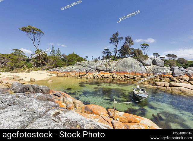 The orange crust of the lichen Caloplaca marina on rock along the shore of Binalong Bay, Tasmania, Australia. Boat moored in cove