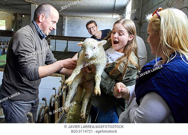 Tour guide with group, Girl with lamb, Caserio Mausitxa, Elgoibar, Gipuzkoa, Basque Country, Spain, Europe