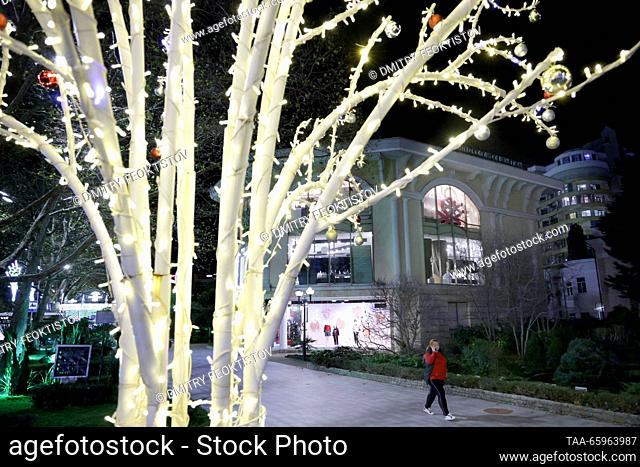 RUSSIA, SOCHI - 21 de diciembre de 2023: Las luces de cuerda adornan un árbol en la avenida Kurortny Prospekt. Dmitry Feoktistov/TASS
