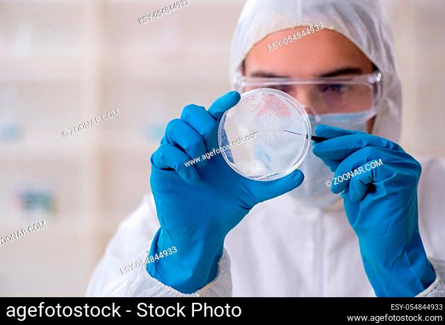 The young male chemist working in the lab