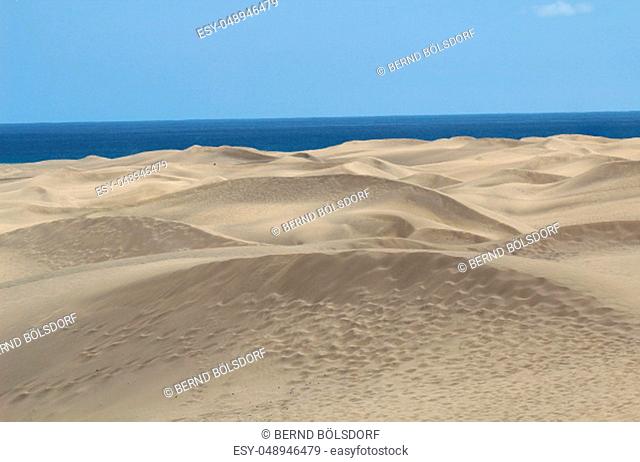 desert withered earth sand