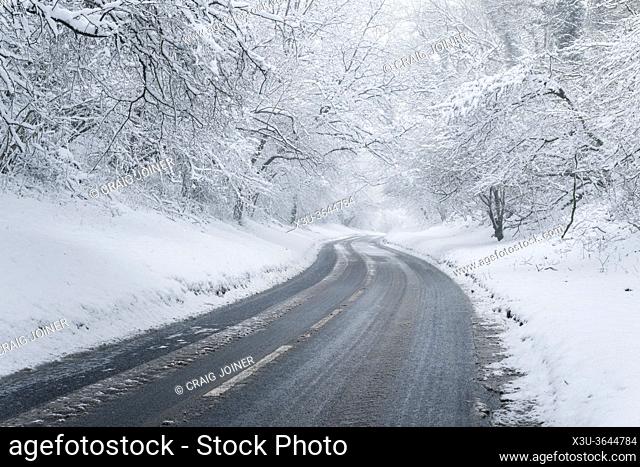 A road through a snowy woodland scene. Burrington Combe in the Mendip Hills, North Somerset, England
