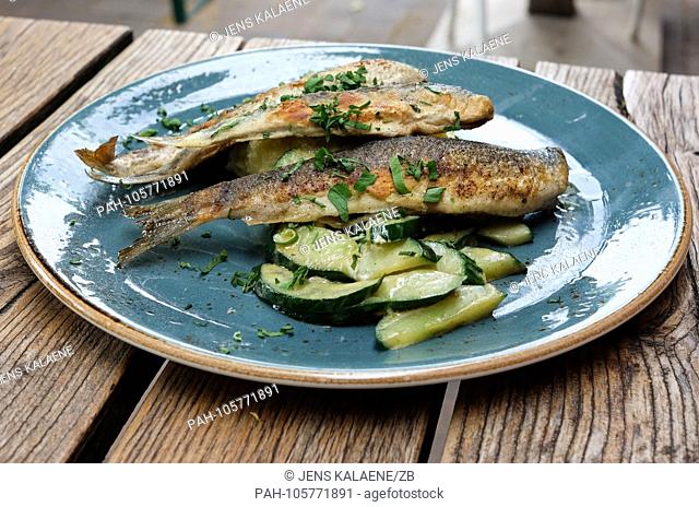16.06.2018, Linum, Brandenburg: A plate with a dish of Baltic herring, potato mash and braised cucumbers stands on a table from the restaurant ""Kleines Haus""...