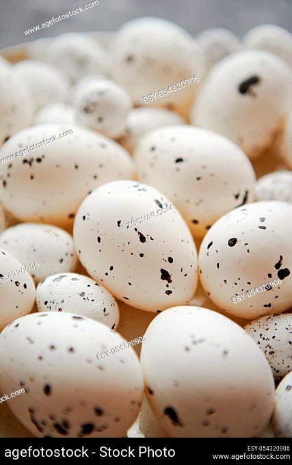 Close up composition of white traditional chicken and quail, black dotted Easter eggs. Selective focus