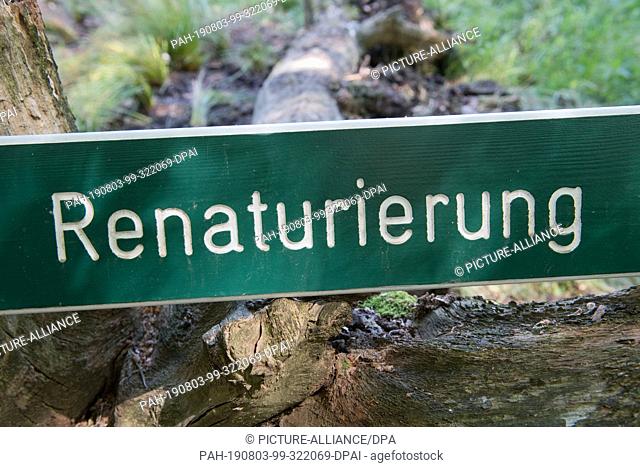 25 July 2019, Mecklenburg-Western Pomerania, Sassnitz: View of a sign with the stroke ""Renaturierung"" in the national park Jasmund