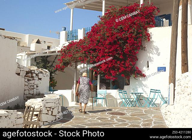 Elderly woman with stick walking in the alleys of the main village Chora, Sikinos, Cyclades Islands, Greek Islands, Greece, Europe