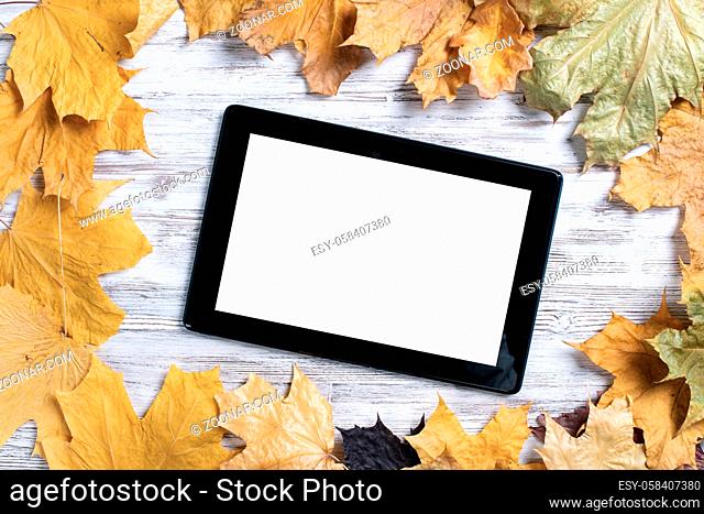 Tablet computer with blank screen lies on vintage wooden desk with bright foliage. Flat lay composition with autumn leaves on white wooden surface
