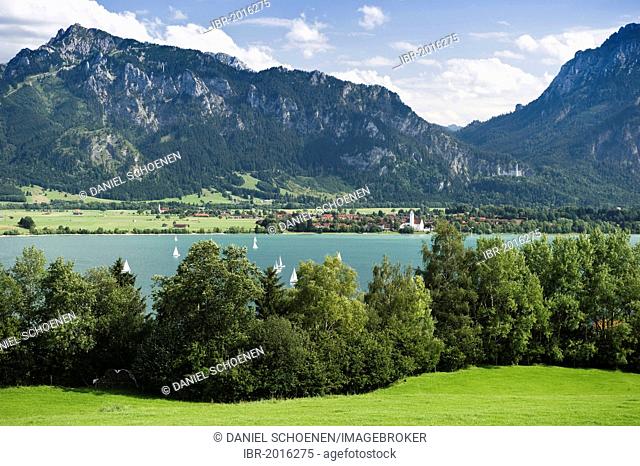 Forggensee Lake, Schloss Neuschwanstein Castle at back, Fuessen, Allgaeu, Bavaria, Germany, Europe