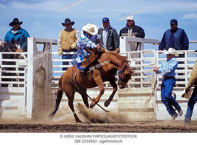 Cowboy on horse during bronc riding event at Tygh Ridge All-Indian Rodeo; Wasco County, central Oregon