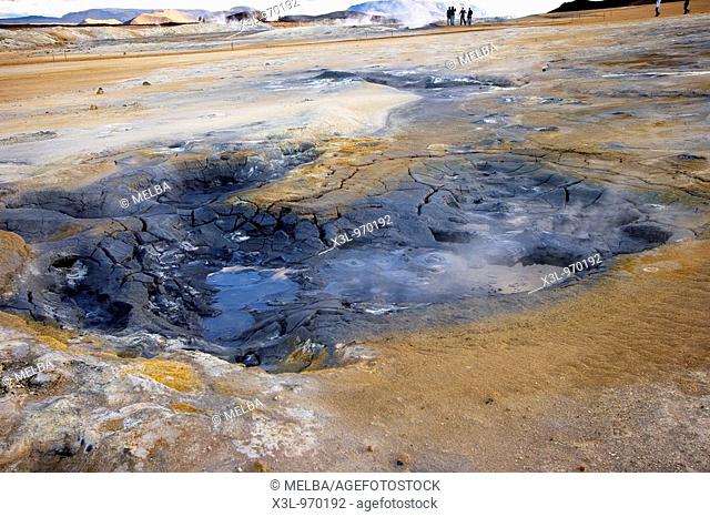 Mud pot in Namaskard Solfatara, field of steaming solfataras sulphurous vents  Myvatn lake  Iceland