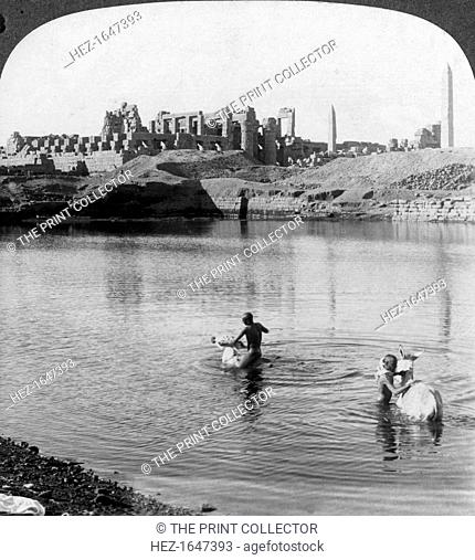'Looking across the Sacred Lake to the great temple at Karnak, Thebes, Egypt', 1905. 'This sacred lake, now the wallowing pool for the buffalos of the...