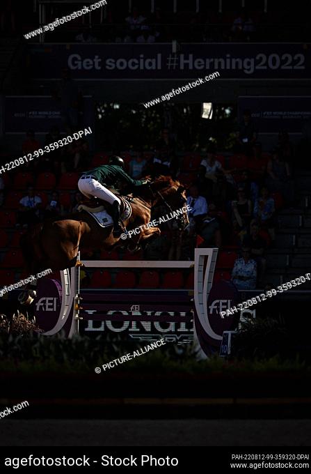 11 August 2022, Denmark, Herning: Equestrian sport: World Championship, Show Jumping. Show jumper Pedro Veniss (Brazil) rides Nimrod de Muze Z