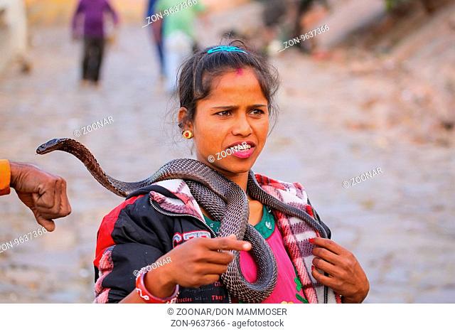 Local woman holding Indian cobra in the street of Jaipur, India. Jaipur is the capital and largest city of the Indian state of Rajasthan