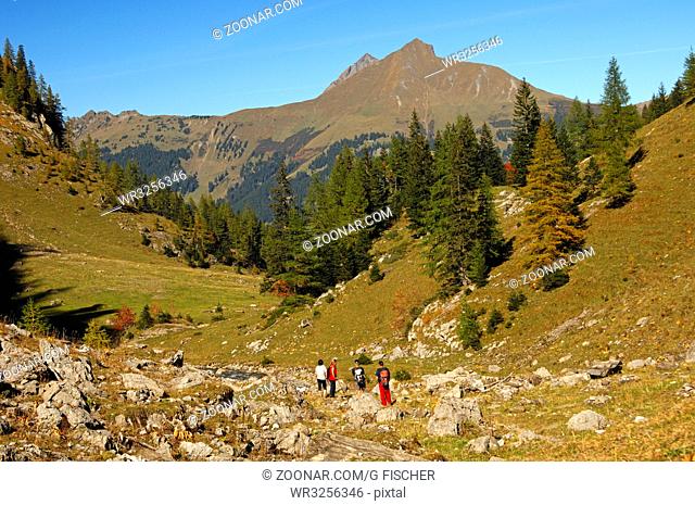 Im Geltental, Blick zu Giferspitz und Lauenenhorn, Naturschutzgebiet Gelten-Iffigen, Berner Oberland, Schweiz /In the Gelten Valley, view towards Mt