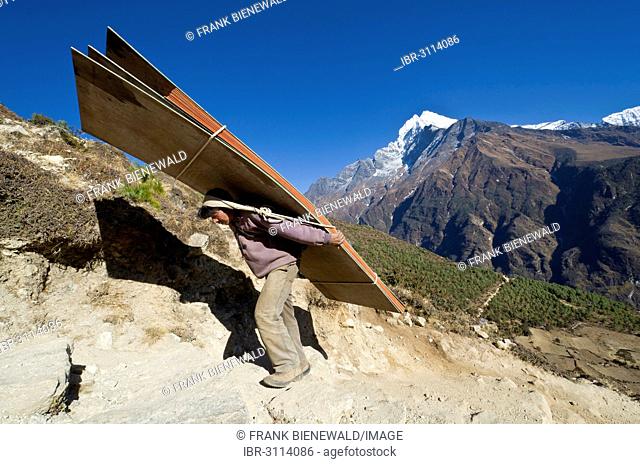 Porter carrying heavy load up an ascending track above Namche Bazar, 3.440 m, the base for trekking and mountaineering in Solo Khumbu region