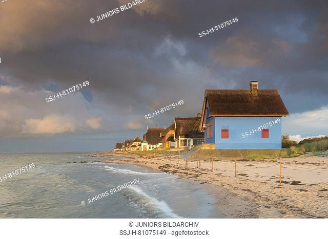 Houses on the peninsula Graswarder. Baltic Sea, Heiligenhafen, Schleswig-Holstein, Germany