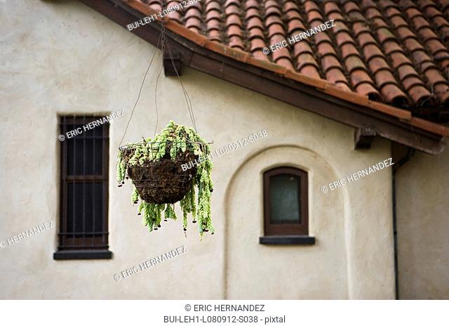 Hanging plant in front of spanish style home