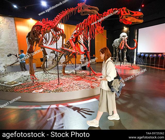 RUSSIA, PERM - JUNE 10, 2023: A woman is seen by replicas of a Tsintaosaurus skeleton and a Tarbosaurus skeleton at the Museum of Perm Prehistory